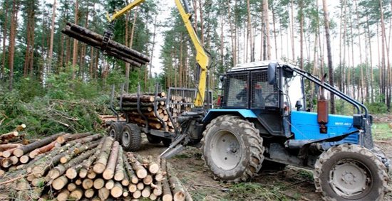 俄罗斯木材被标来自“中亚”，试图绕过欧盟制裁