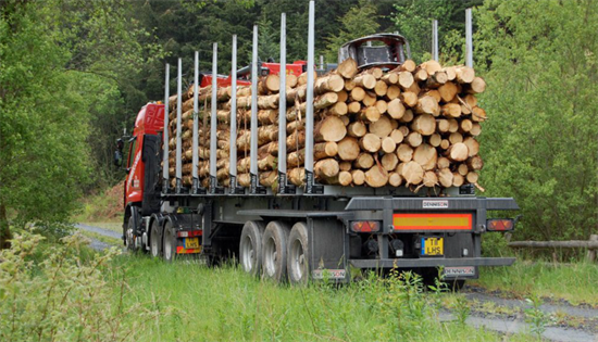 俄罗斯木材被标来自“中亚”，试图绕过欧盟制裁