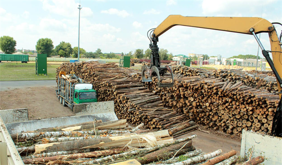 俄罗斯木材被标来自“中亚”，试图绕过欧盟制裁