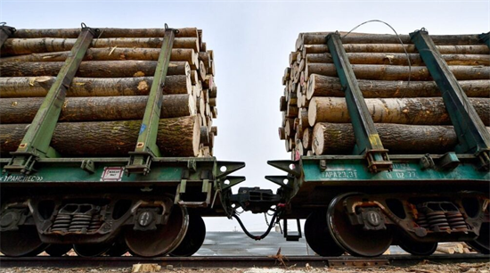 俄罗斯木材被标来自“中亚”，试图绕过欧盟制裁