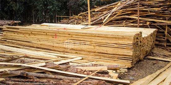 俄罗斯正着手解决木材运输问题