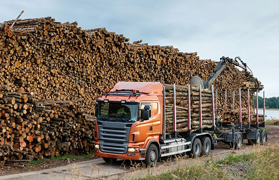 俄罗斯对韩国木屑颗粒出口增加两倍