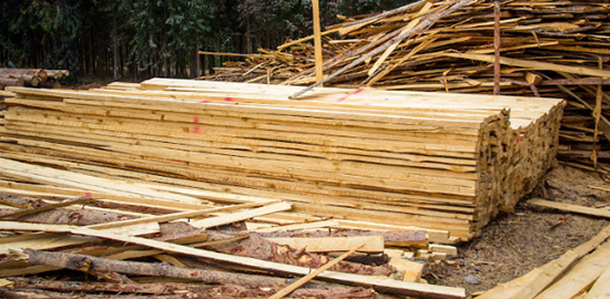 俄罗斯对韩国木屑颗粒出口增加两倍