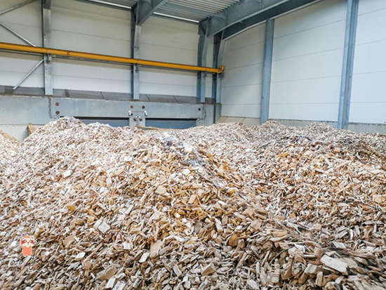 中国木片短缺，越南为出口引发大量幼林被砍伐