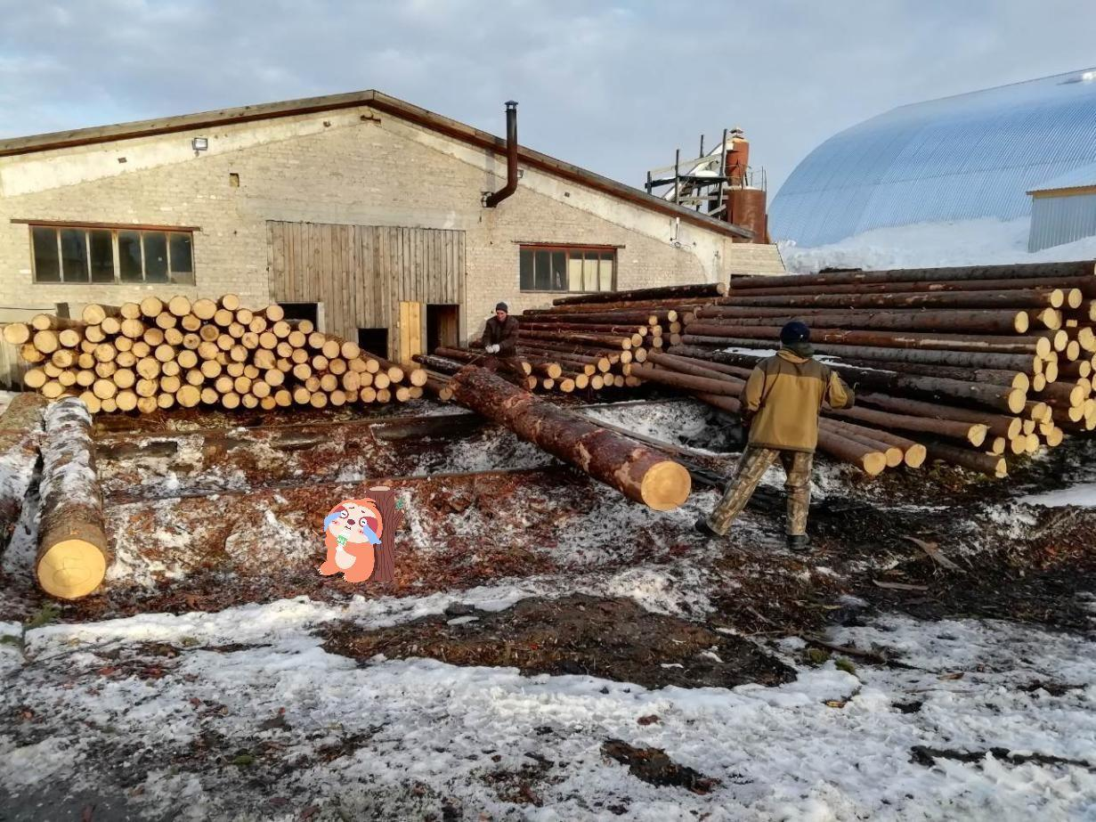 乌克兰的木材行2.png