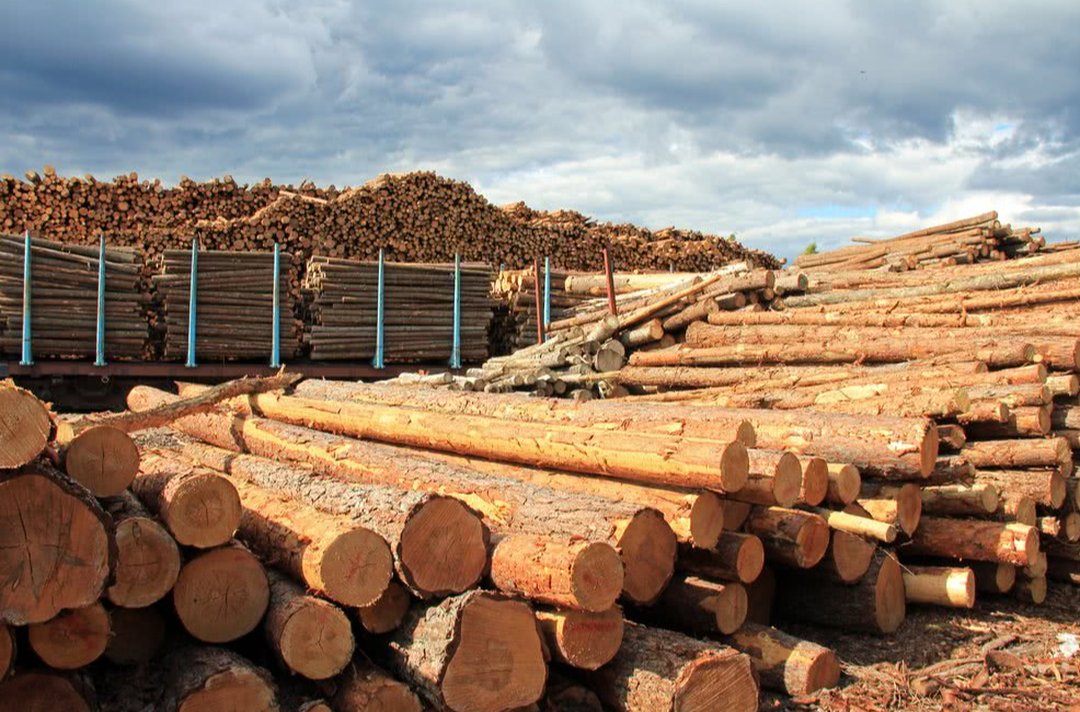木材出口受限1.png