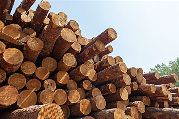 木材贸易
