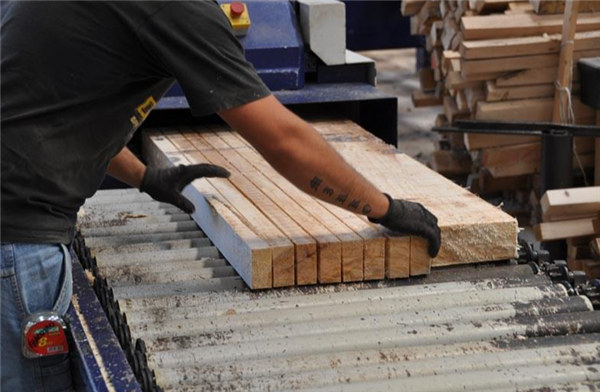 木材加工（1）