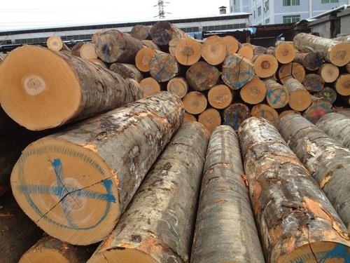 木材贸易