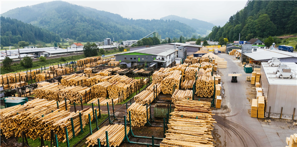 木材市场