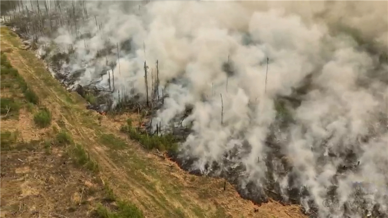 卑诗省连夜清除易过火区域森林