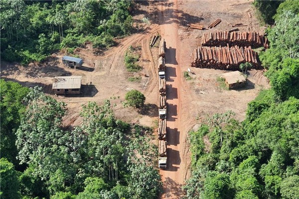 亚马逊州联邦警察通过卫星信号观察非法木材运输现场