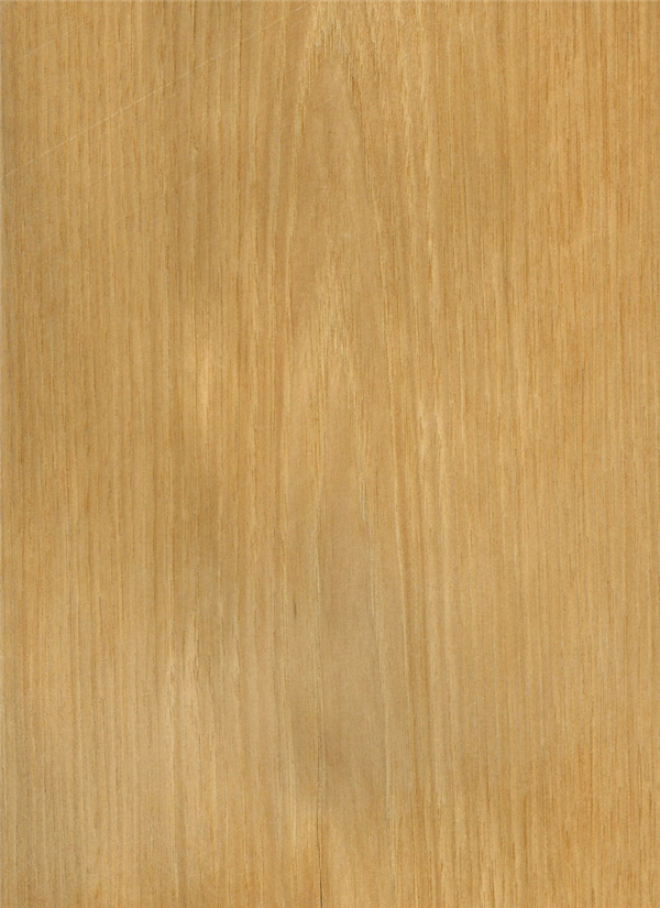 山核桃木