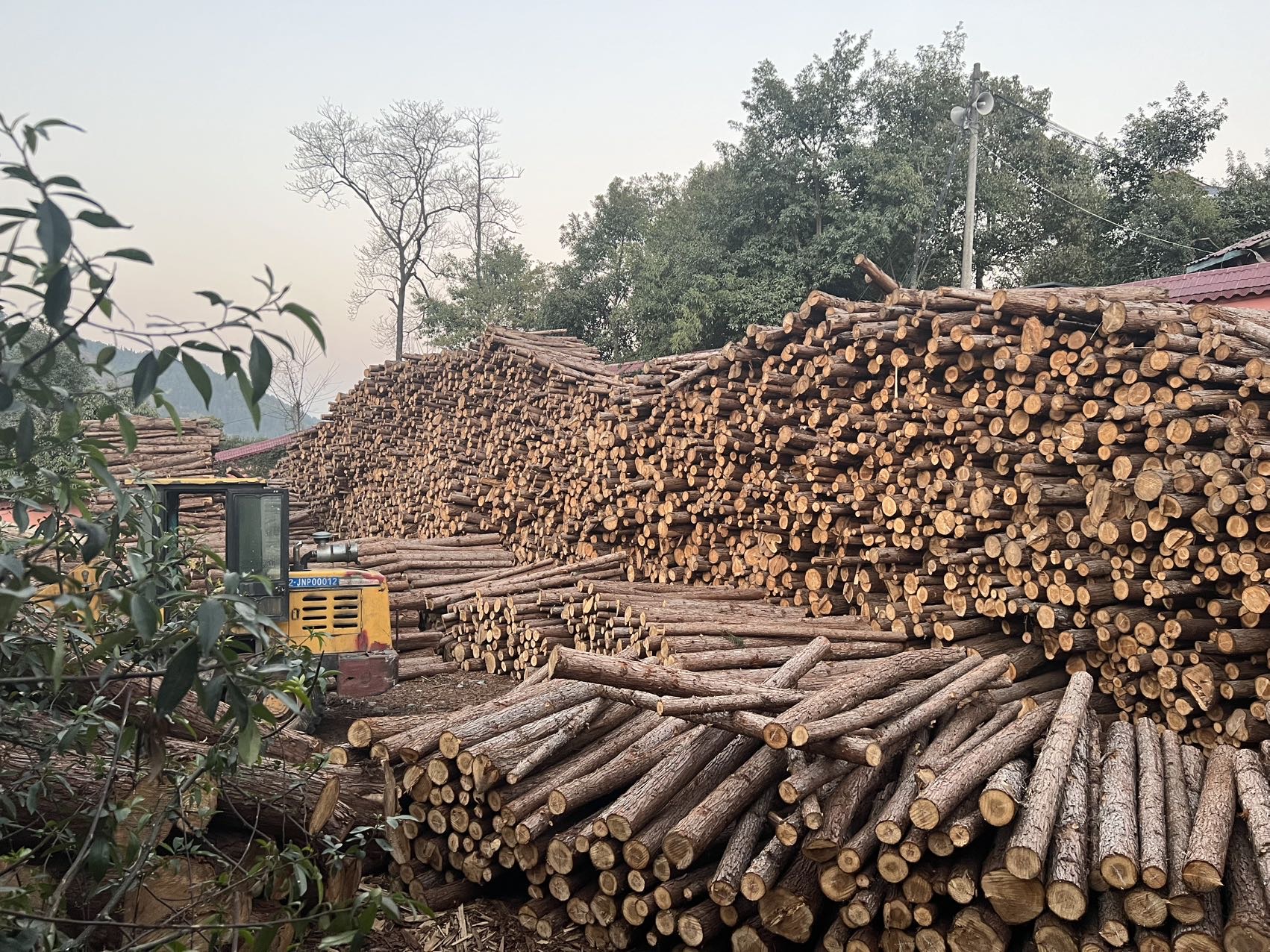 长期供应香杉木直拼板、指接板