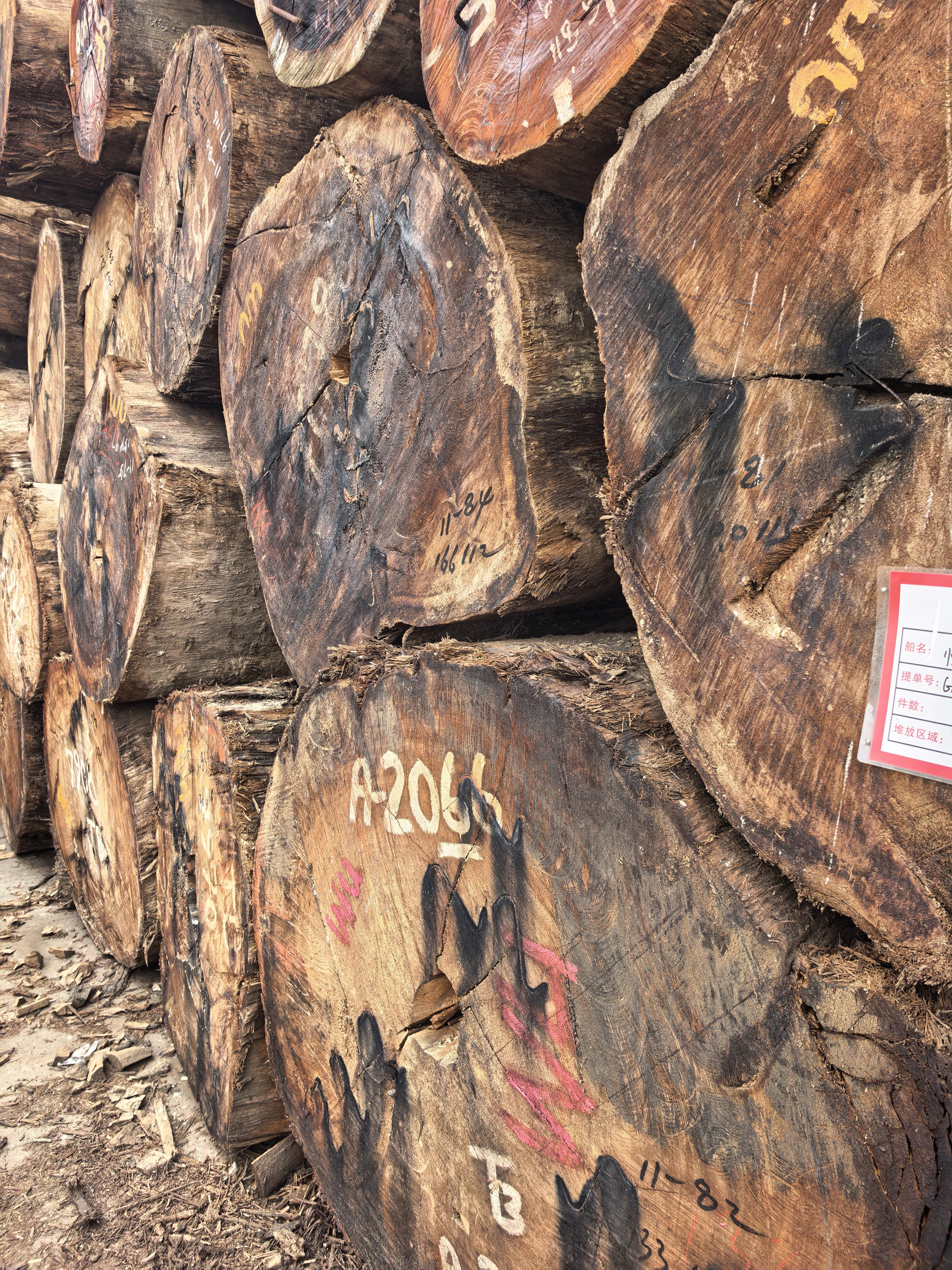 原木巴新榄仁木大TB现货