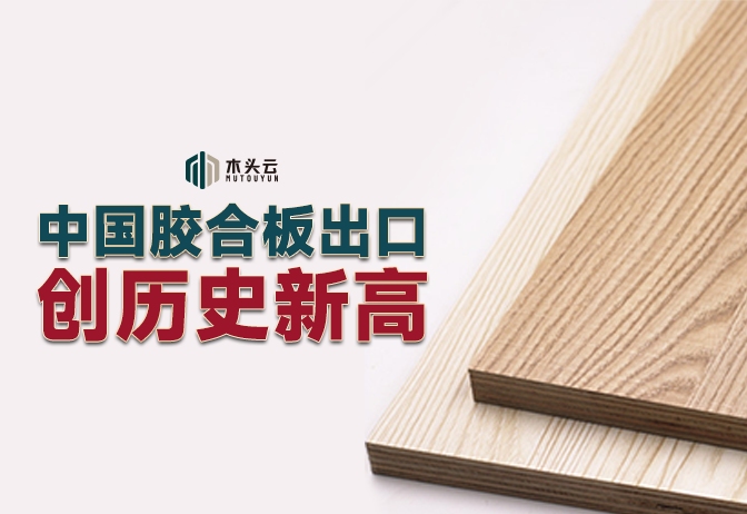 资讯图片