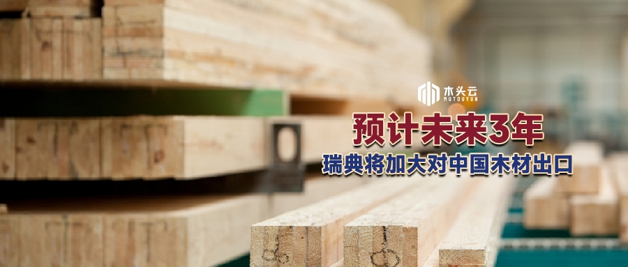 资讯图片