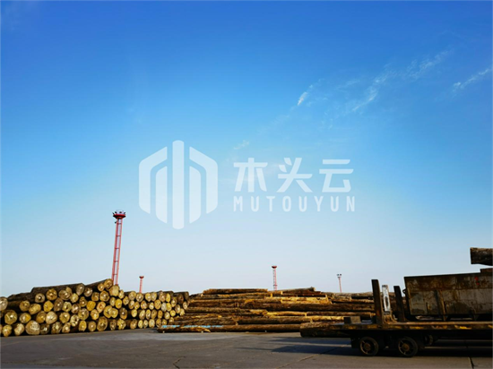 资讯图片