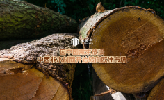 资讯图片