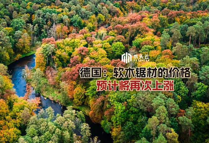 资讯图片