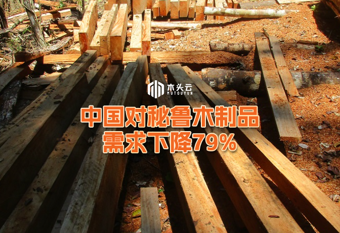 资讯图片