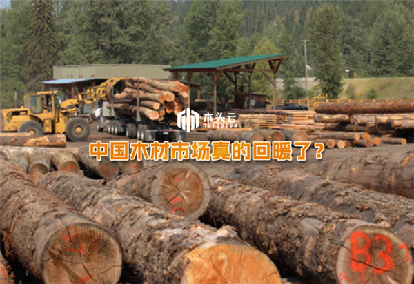 資訊圖片