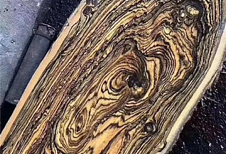 墨西哥黃金檀