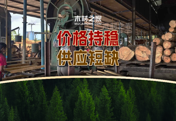 資訊圖片