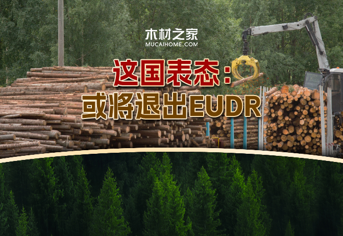 資訊圖片