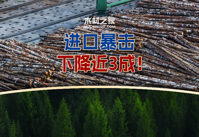 資訊圖片