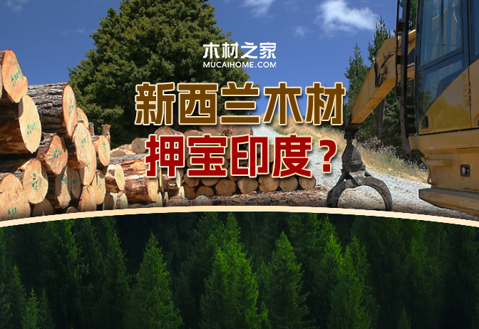 資訊圖片