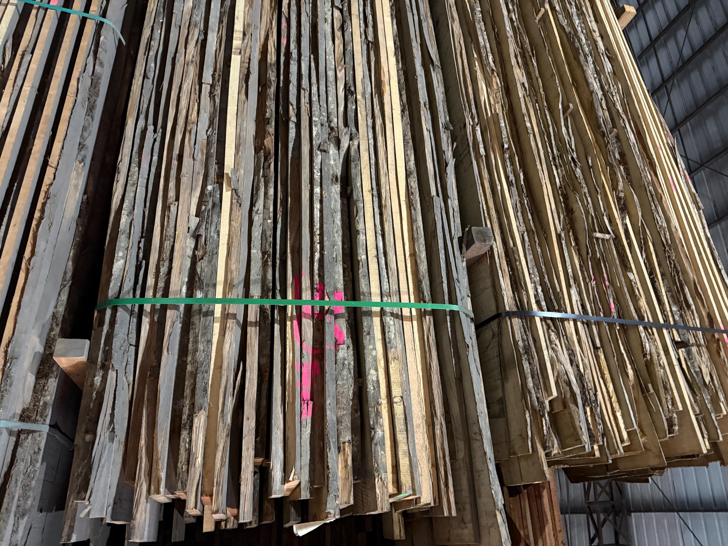 出鹅耳枥（徳国毛边）