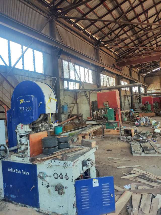 常年供应欧橡表板，单板。榉木板