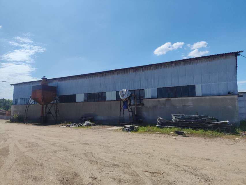 常年供应欧橡表板，单板。榉木板