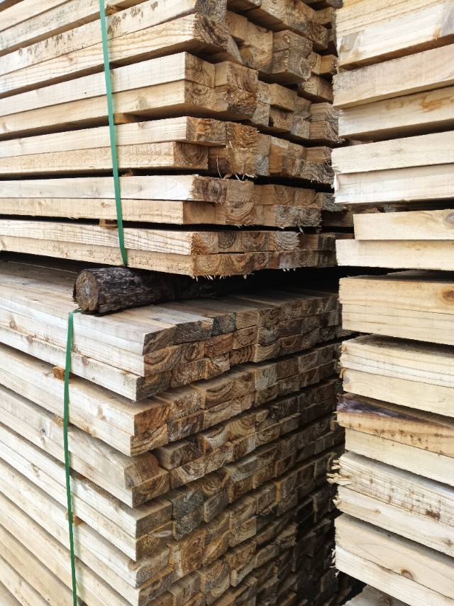 托盘料原木西楠桦等出售