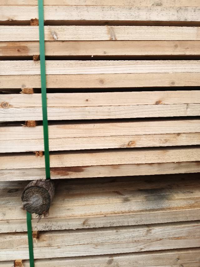 托盘料原木西楠桦等出售