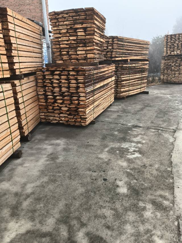 托盘料原木西楠桦等出售