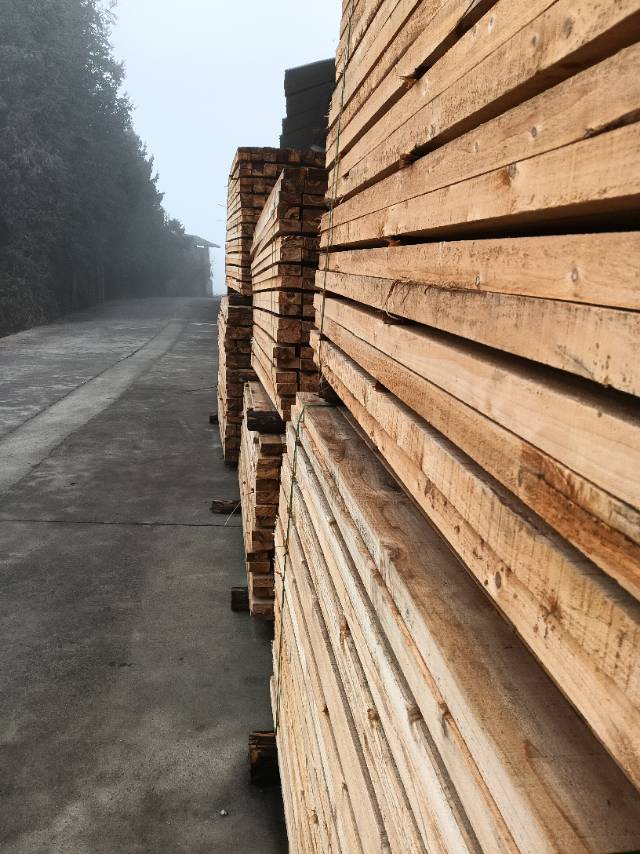 托盘料原木西楠桦等出售