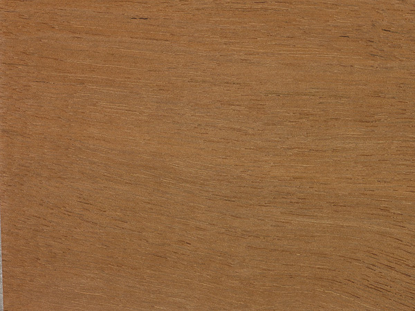 苦油楝木(guianensis)